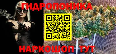 ешки Лесосибирск