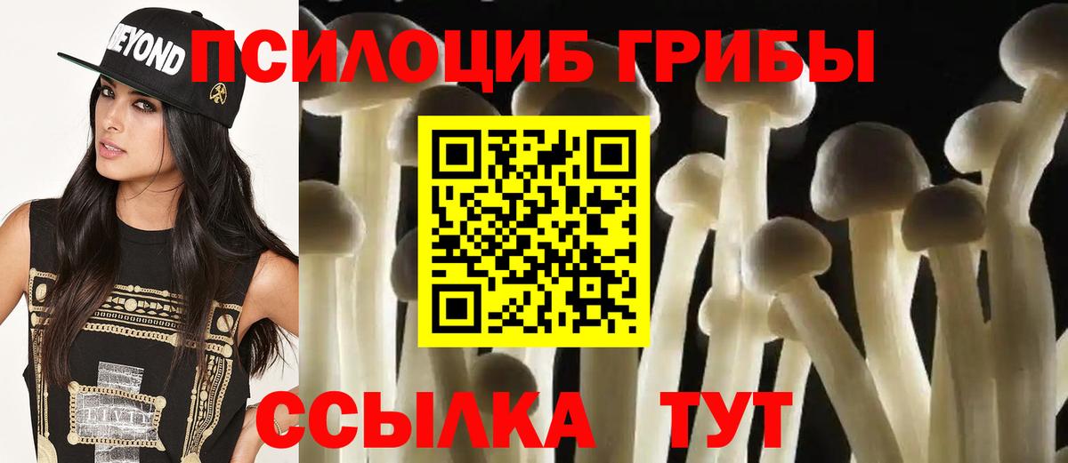 Галлюциногенные грибы мухоморы Курганинск