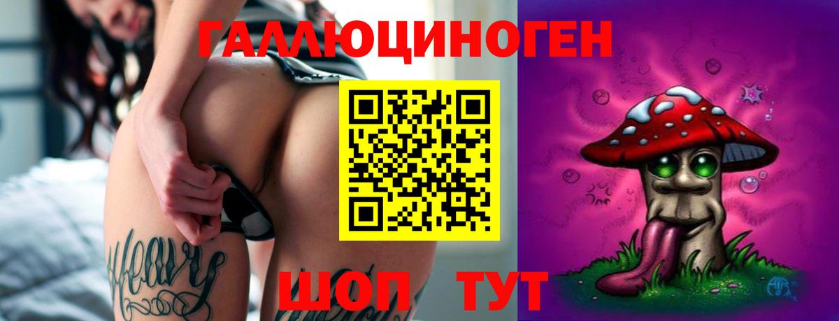 Курганинск  Галлюциногенные грибы Psilocybine cubensis  Вход с VPN 